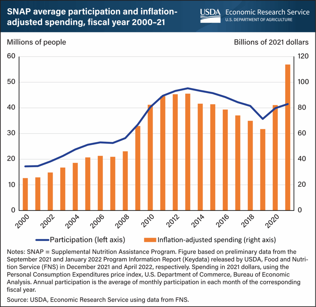 SNAP Average Participation