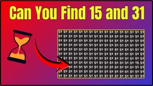 Can You Find 15 and 31