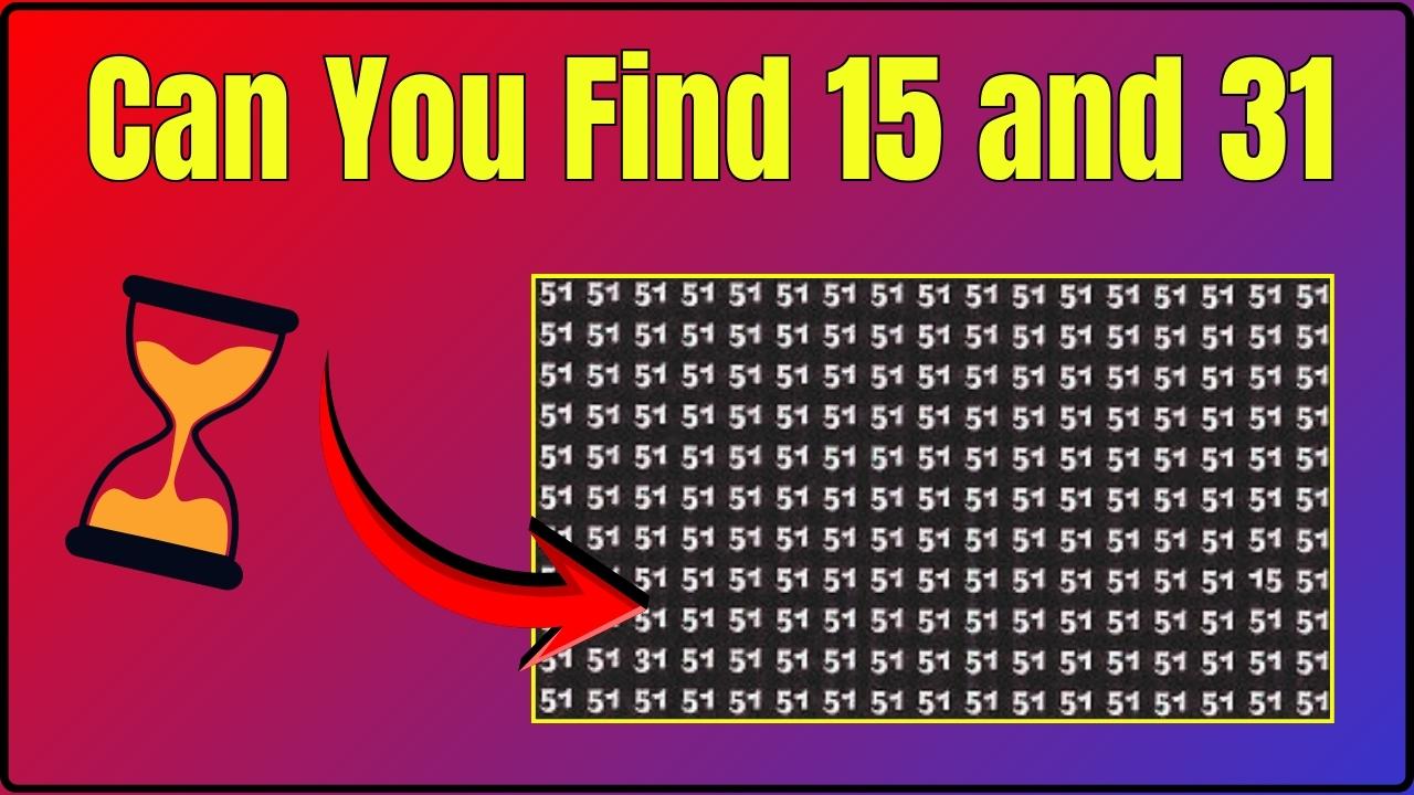 Can You Find 15 and 31