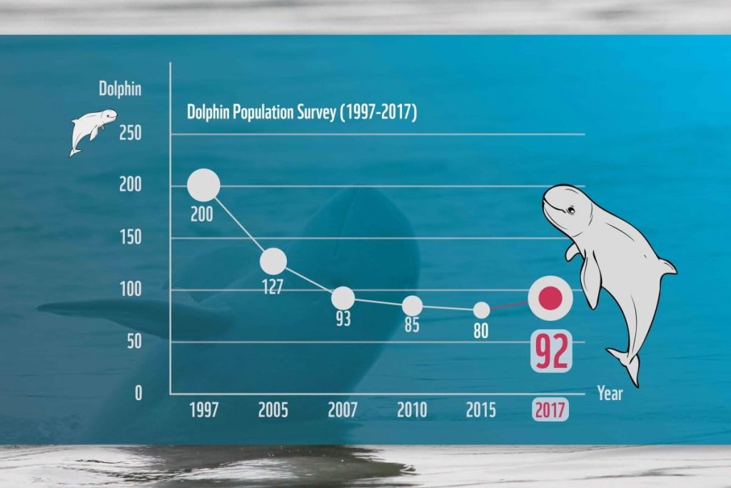 Dolphin-Population-trend-Graph