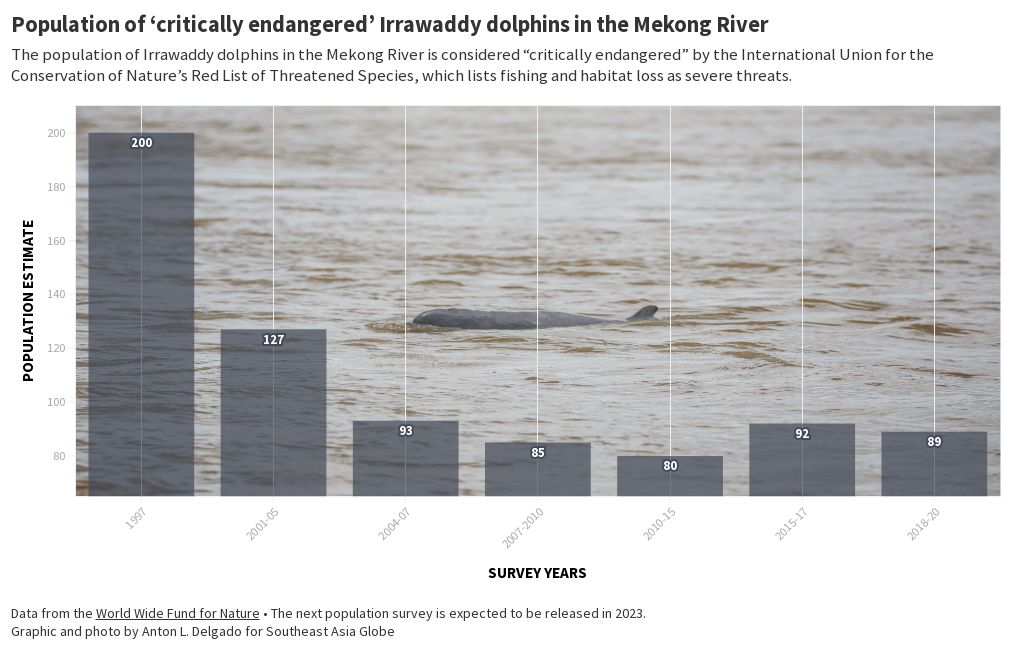 Irrawaddy Dolphin Population