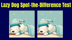 Lazy Dog Spot-the-Difference Test