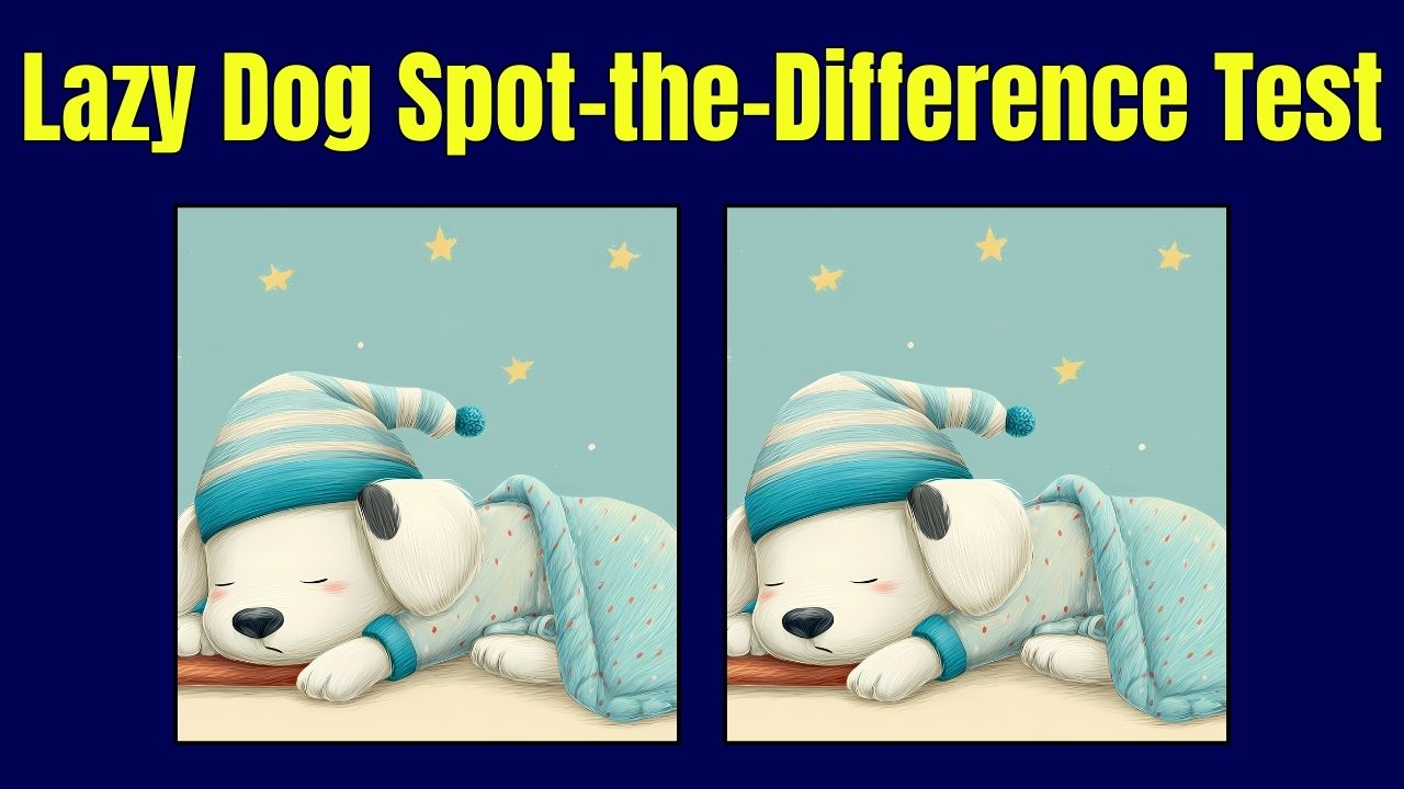 Lazy Dog Spot-the-Difference Test