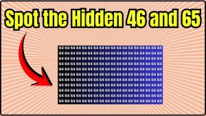Spot the Hidden 46 and 65