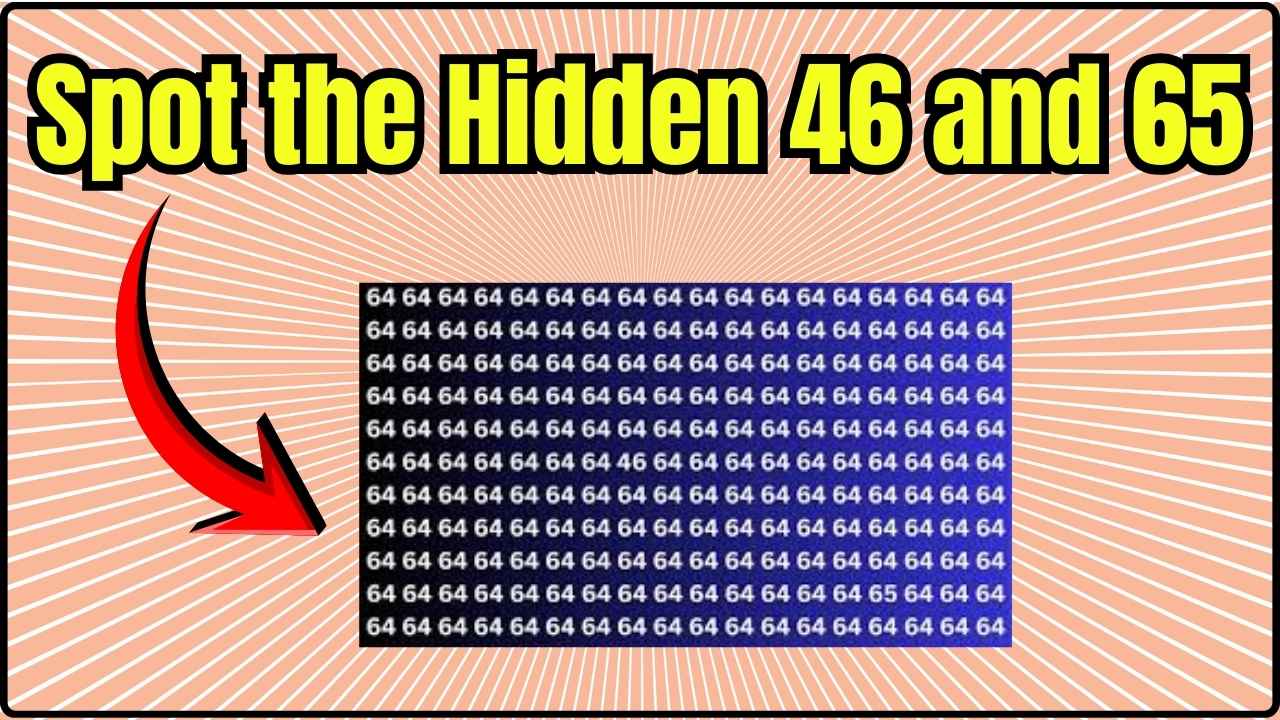 Spot the Hidden 46 and 65