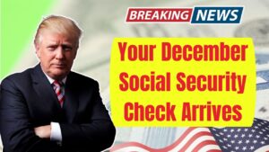 Your December Social Security Check Arrives Without the 2.8% COLA