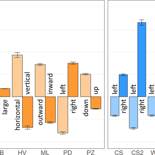 llusion-magnitudes-SEM-standard-error-of-the-mean