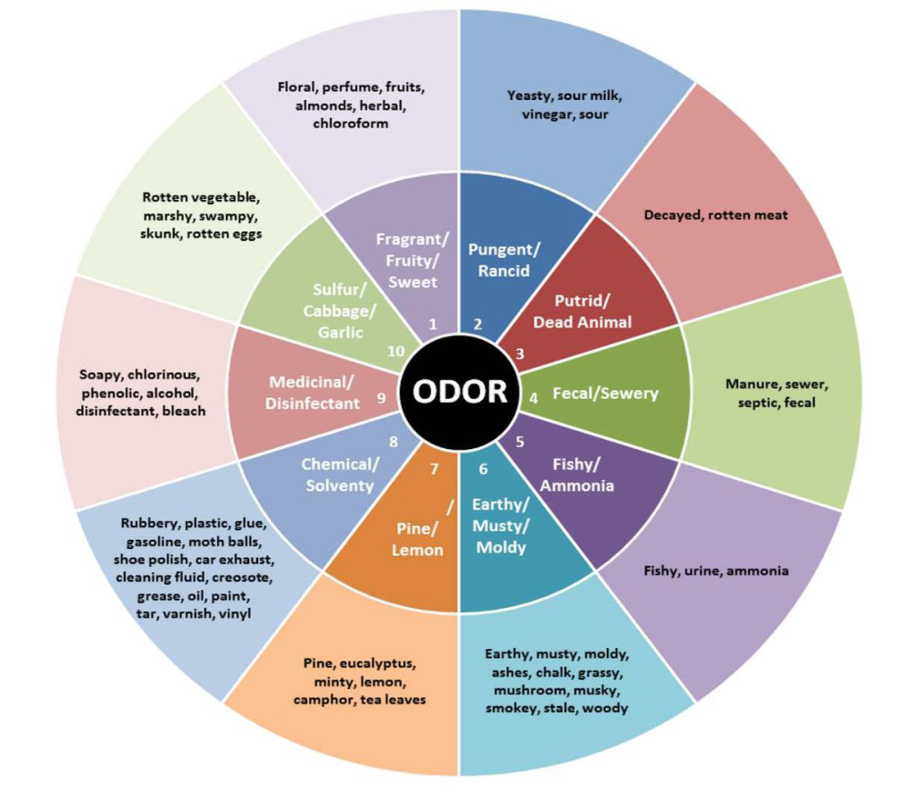 Odor Wheel Chart