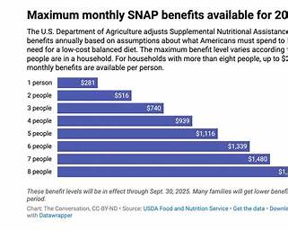 SNAP Benefit Levels Chart